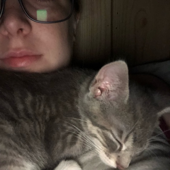 Meet your Posher, Demi - Picture 2 of 3